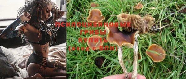 МДМА Вяземский
