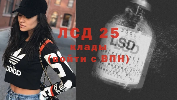 стаф Волоколамск